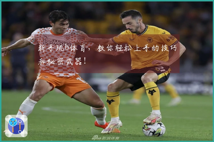 新手玩b体育,教你轻松上手的技巧和秘密武器!